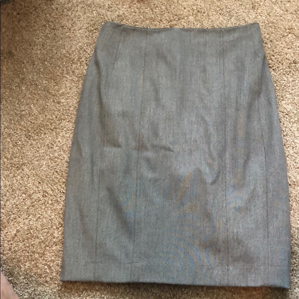 Express Skirt
